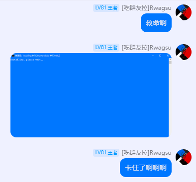驱动都装不上了w