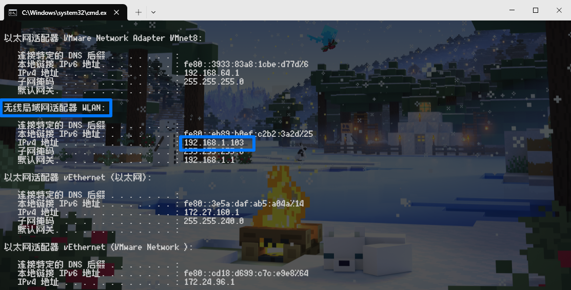 CMD ipconfig 命令结果