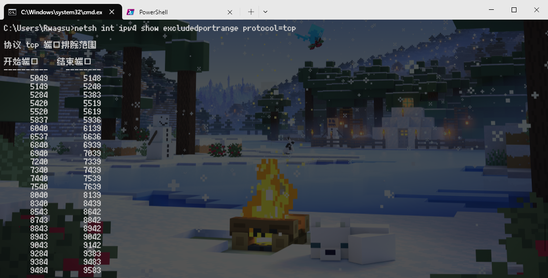 查看系统保留端口